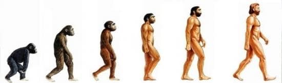 Schéma de l’évolution humaine, de l’australopithèque à l’homo sapiens, illustrant la réflexion de MIMI the ClowN sur l’évolution et la technologie.